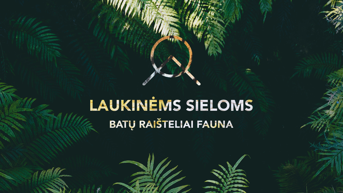 Baltic knots fauna kolekcijos batų raištelių banner