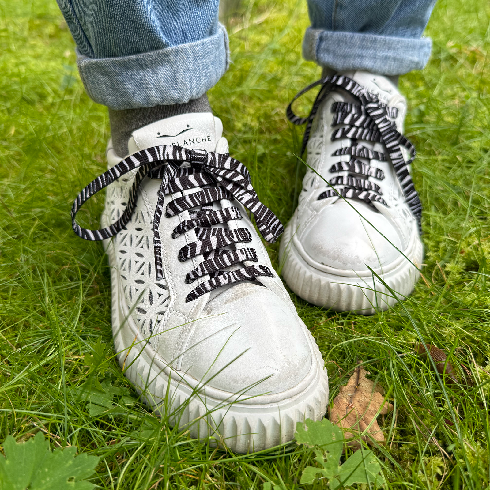 Batų raišteliai Zebras