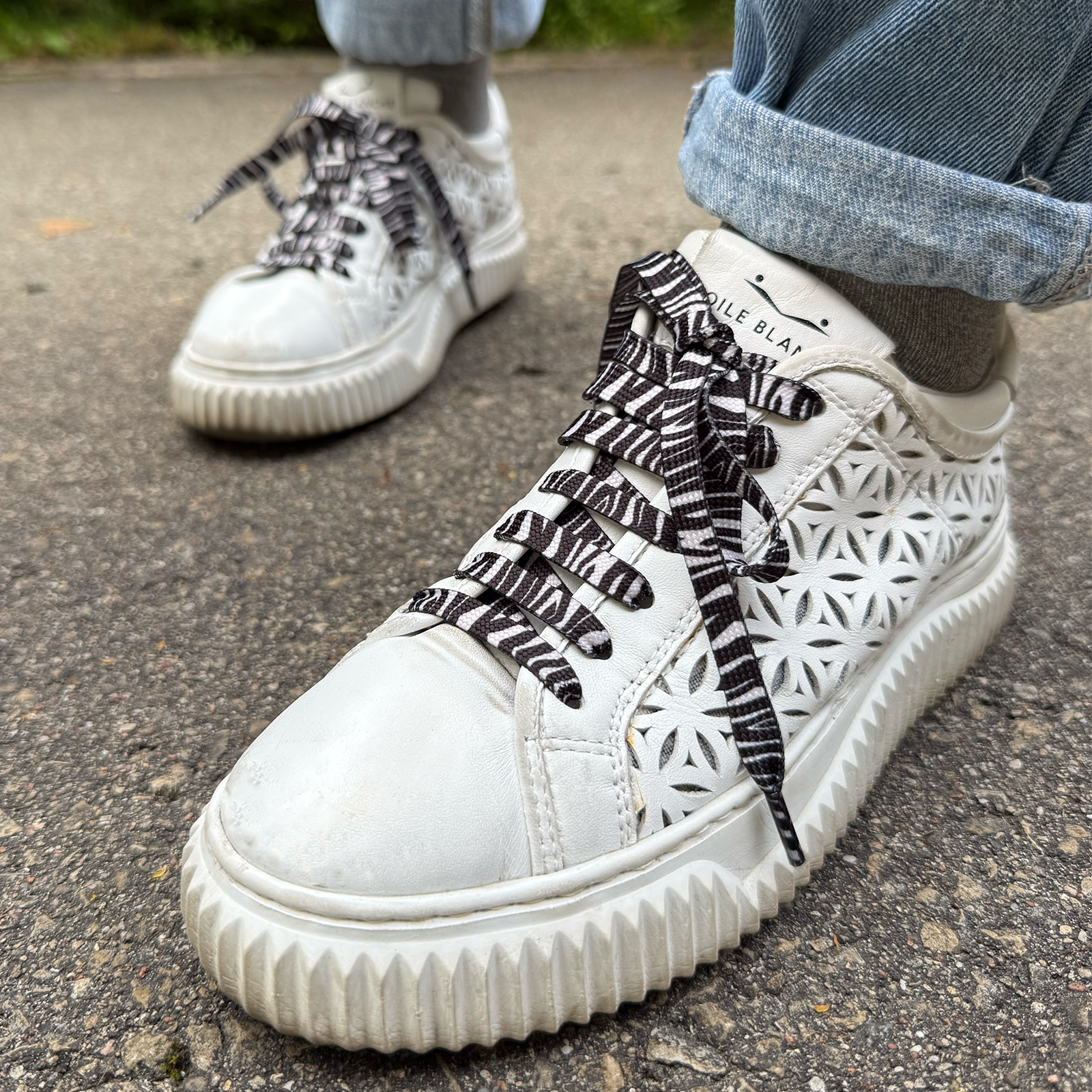 Batų raišteliai Zebras