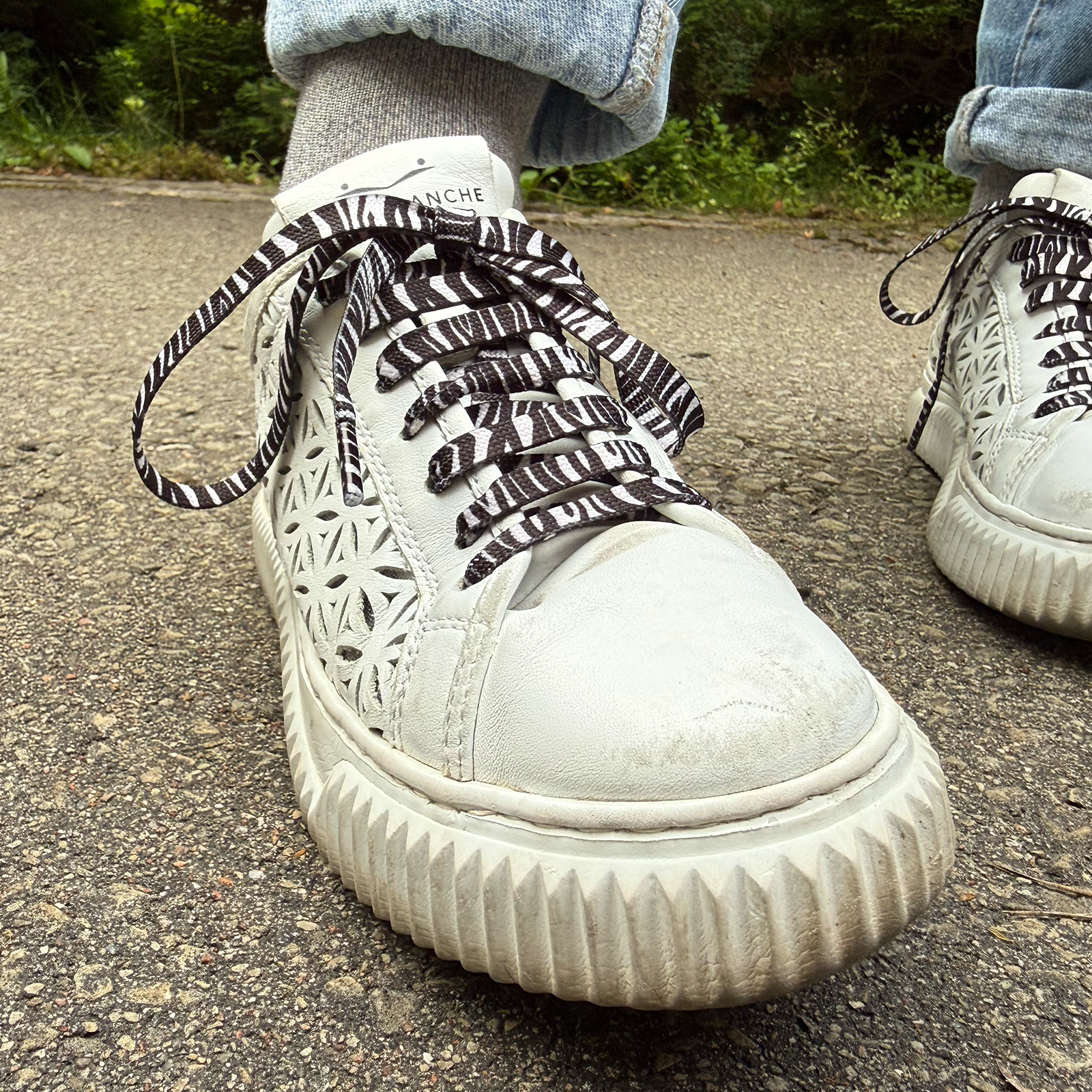 Batų raišteliai Zebras