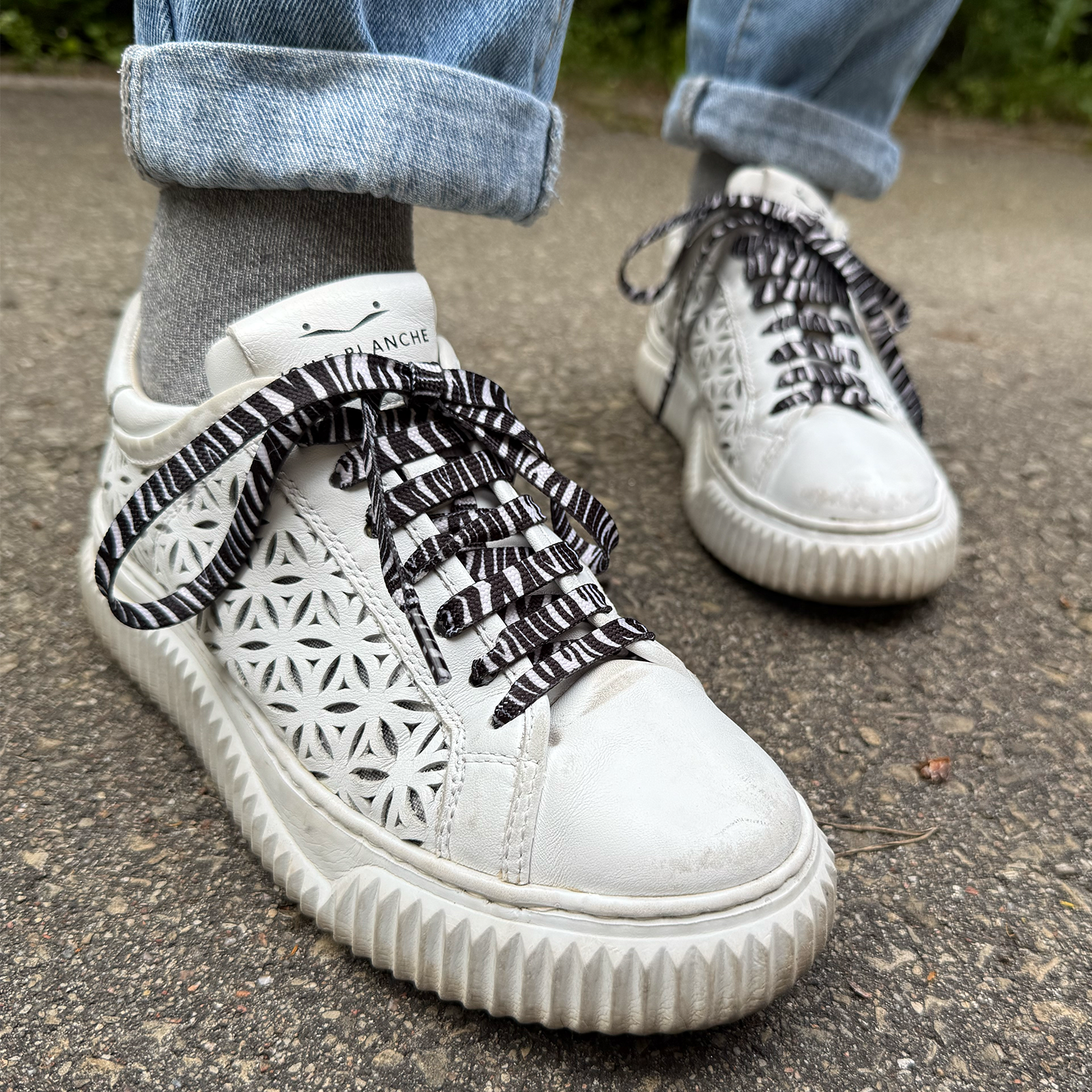 Batų raišteliai Zebras