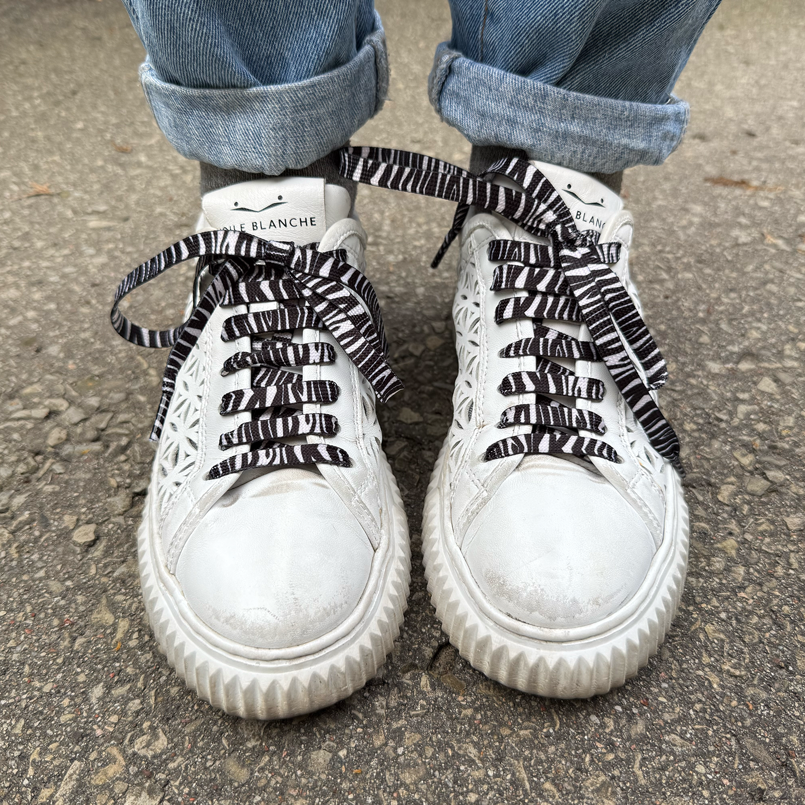 Batų raišteliai Zebras